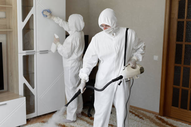 Best Attic Mold Removal  in Martindale, TX