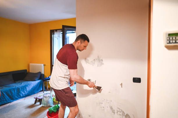 Best Professional Mold Removal  in Martindale, TX